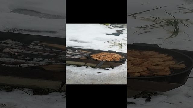 VID_20241201_140030.mp4