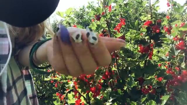 АСМР влог НА ПРИРОДЕ шепот, звуки природы ASMR nature vlog