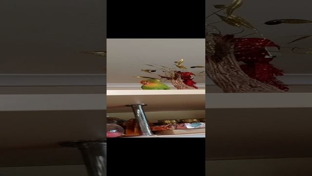 09-01-2025