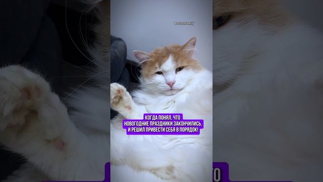 Привести себя в порядок