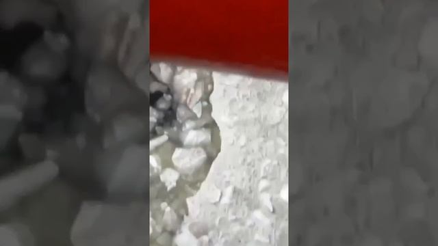 Невероятная планета480P456263902.mp4