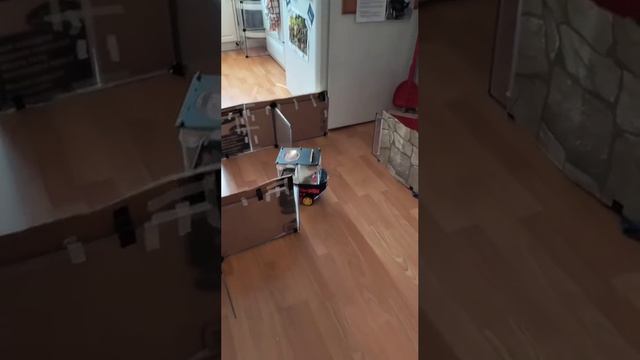 Крыса сдает на права