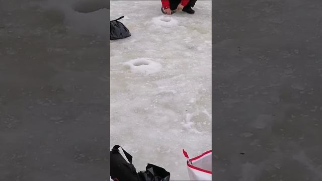 КРХ ТРИФОН