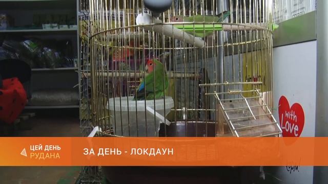 За день - локдаун: які заборони та дозволи діятимуть в період посиленого карантину?