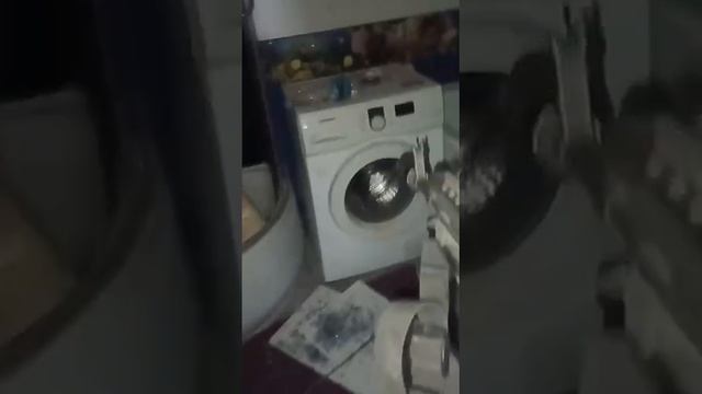 VID-20240510-WA0004.mp4