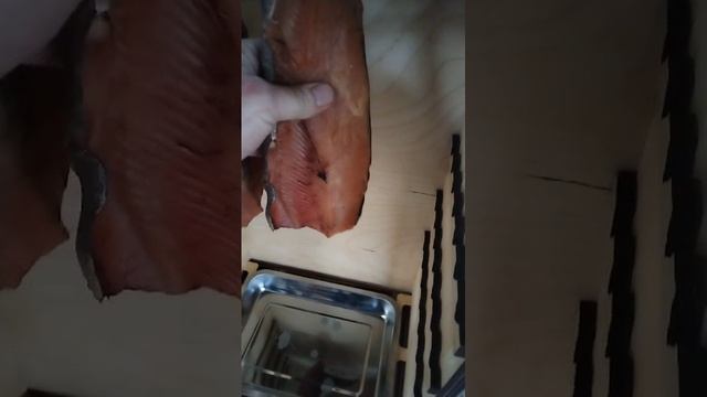 Коптим форель в коптильне "МясоДелов"
