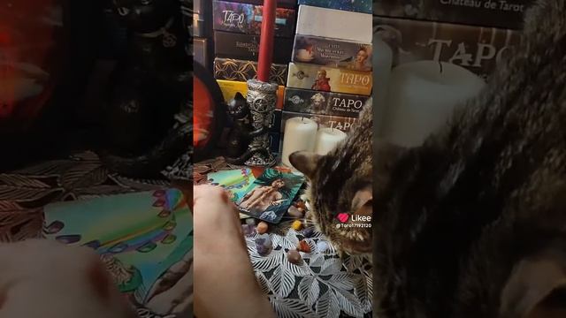 1000117391.mp4