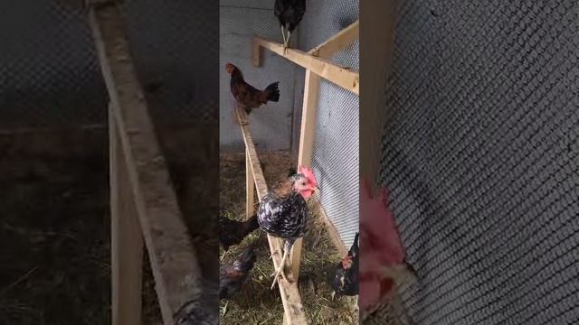 1000080886.mp4