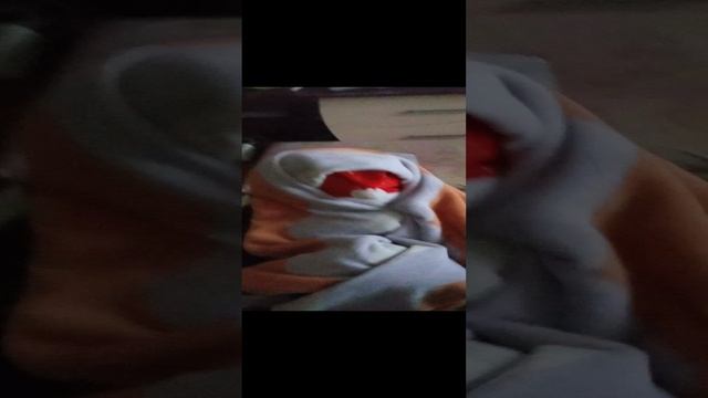 знакомство новогодним анонимусом