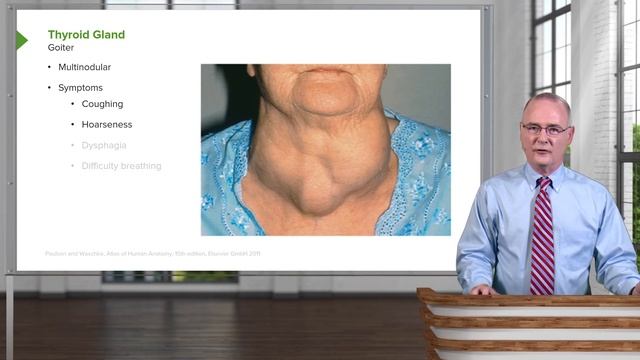 02.01 Thyroid Gland – Neck