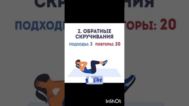 упражнения на все группы мышц