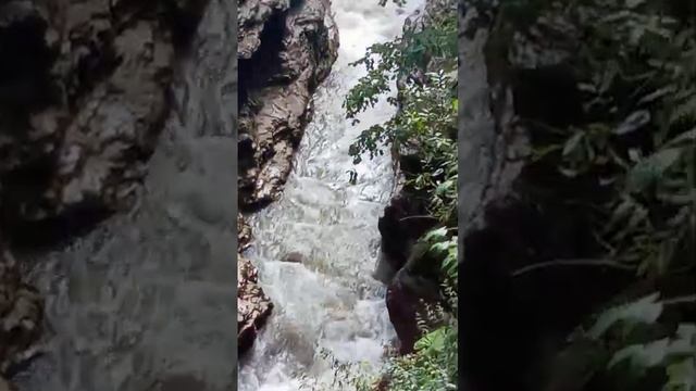 Счастье живет рядом с нами