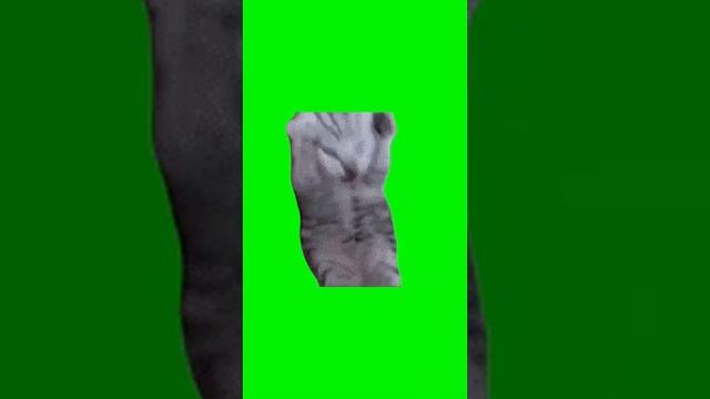 футажи (все без звука)