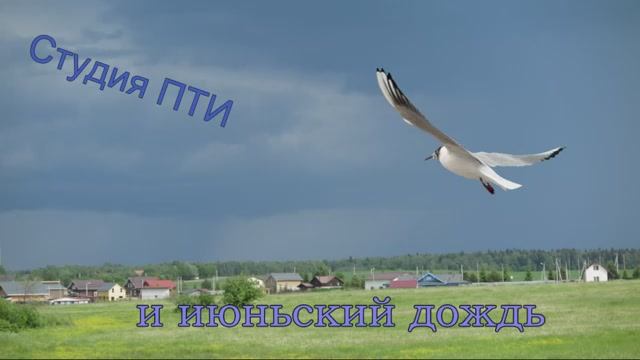 ИюньскийДождь