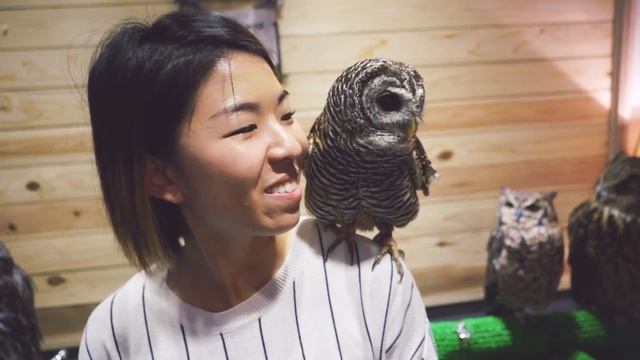 ✂ Japan Travel Vlog - Tokyo: Harajuku & Owl Cafe