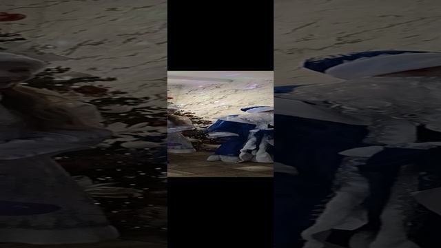 дед мороз и снегурочка пришли в гости
