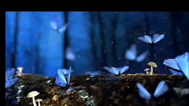 Butterfly दिखने का क्या मतलब होता है l Seeing Butterfly Meaning in Law of Attraction butterfly 🦋❤️