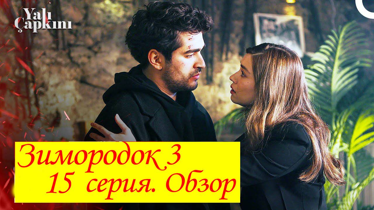 Зимородок 3. Серия 15. Обзор