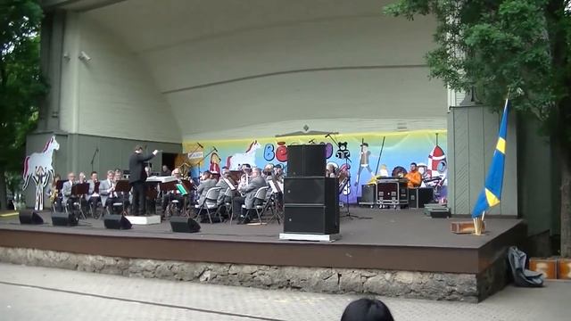шведский оркестр на фоне флага Швеции Верманский парк Рига 1 6 2014