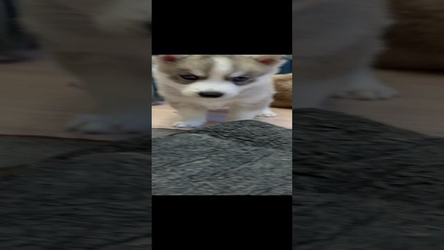 Сплю красиво