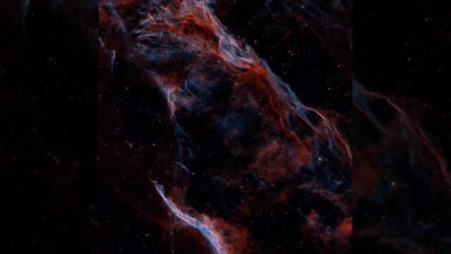 Слушайте своё сердце