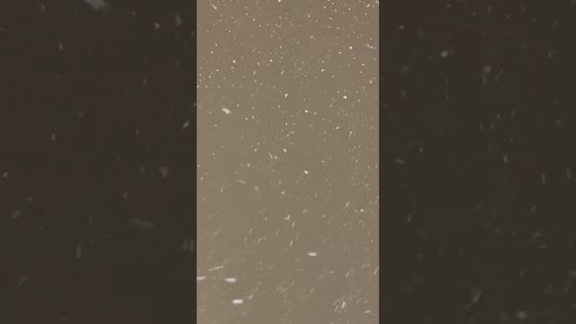 Снег