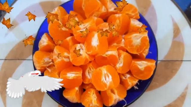 秋天的禮物. Autumn gifts