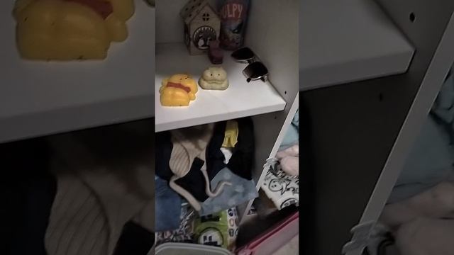 VID20250109220357.mp4