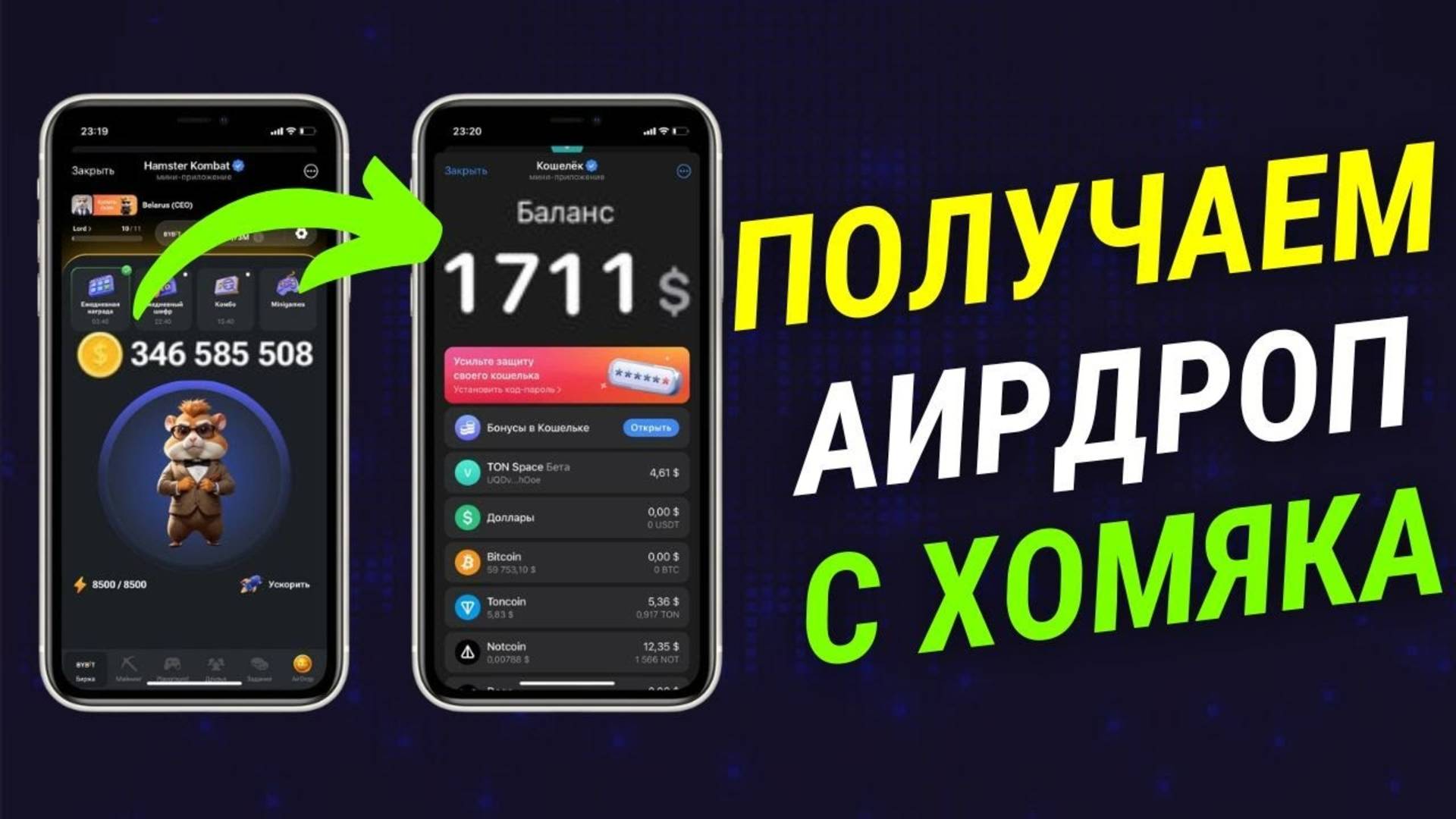 Как правильно получить Аирдроп от Хамстер Комбат