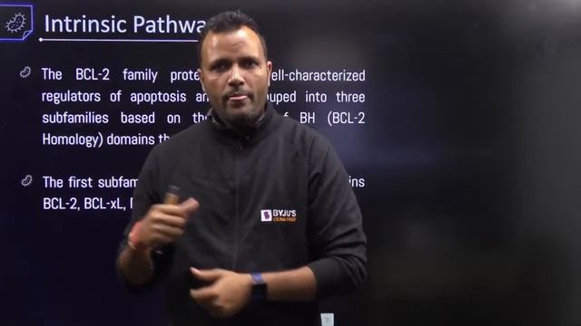 CSIR NET Life Science 2022 | Apoptosis | Apoptosis CSIR NET | Lalit Sir | BYJU'S Exam Prep