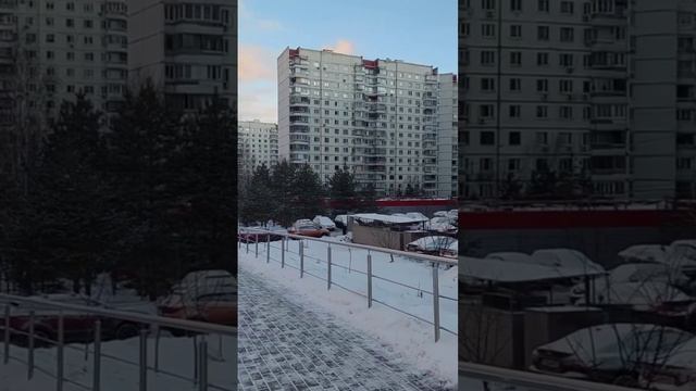 Когда мы ещё увидим эту лестницу около автобусного круга в Северном Крылатском такой чистой