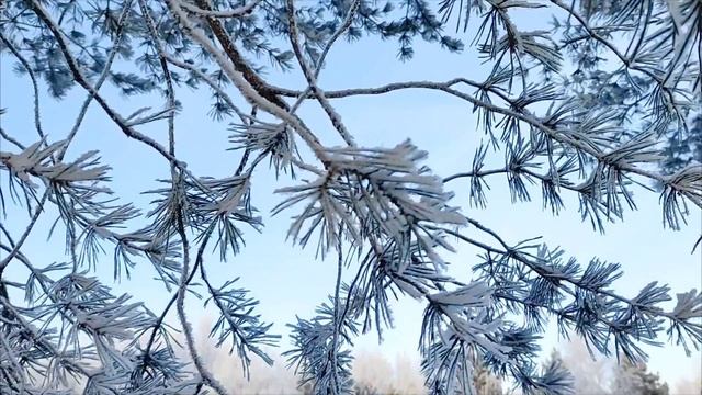 1000102331.mp4