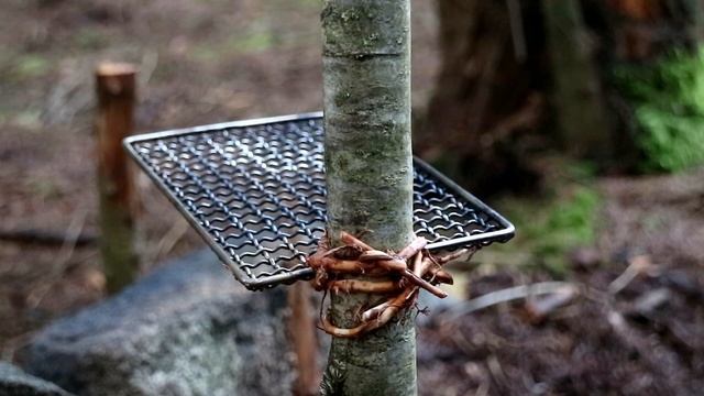 Steak in the Woods | How to Improvise a Grill | Campfire Cooking | Bushcraft Grill | Woodsman