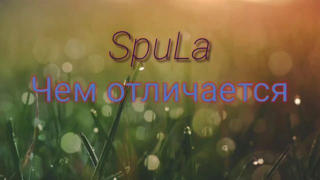 Сру~спулае мулае VS Кры~крадлес