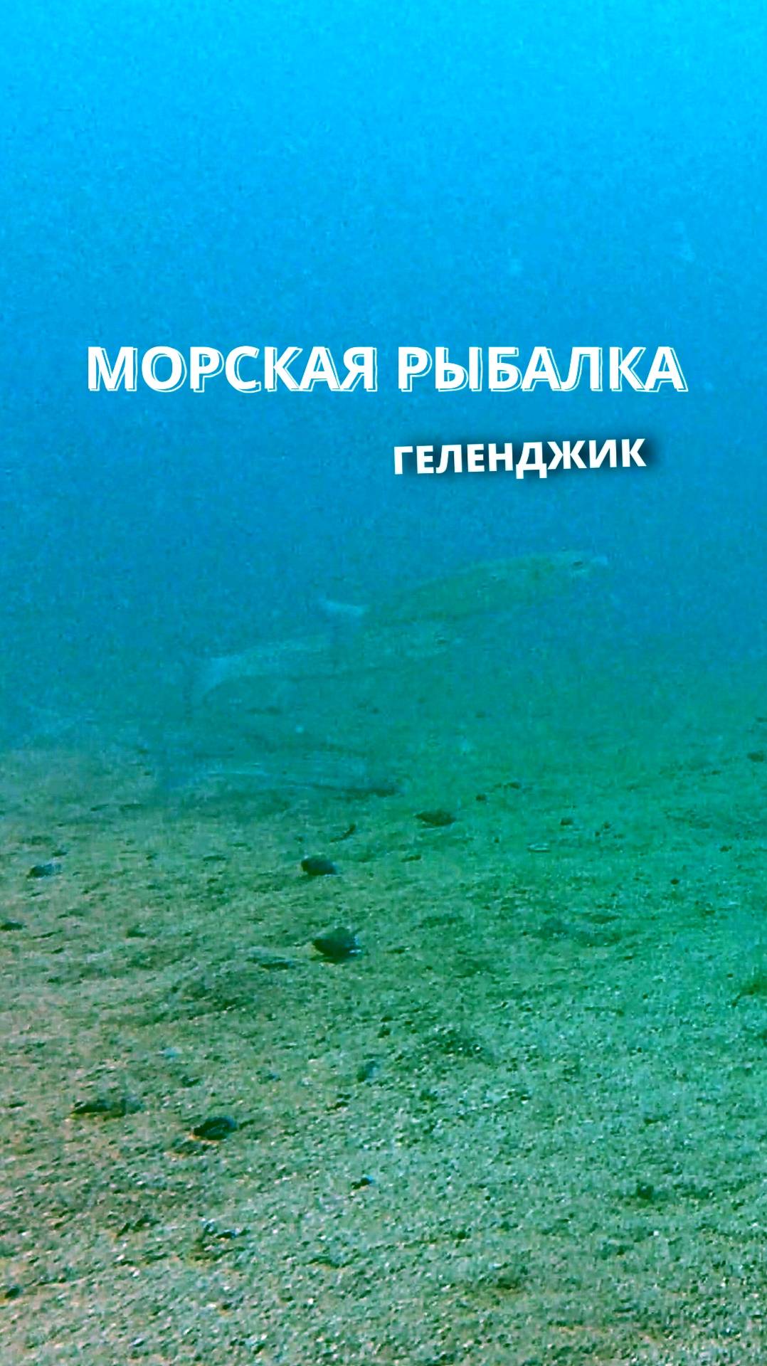 Подводная съемка на морской рыбалке в Геленджике, глубина 10 метров.