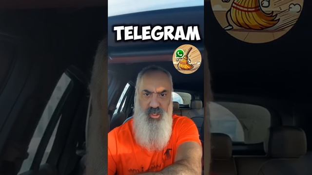 🎤 Чистка WhatsApp началась! 🎤