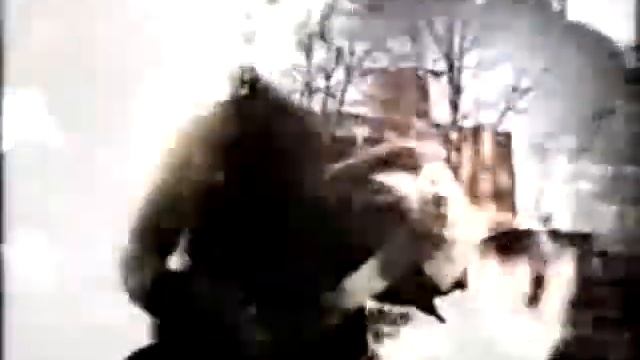 LP - Wasted