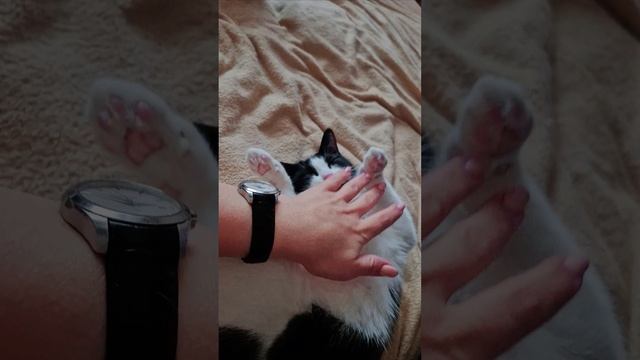 Мой антистресс