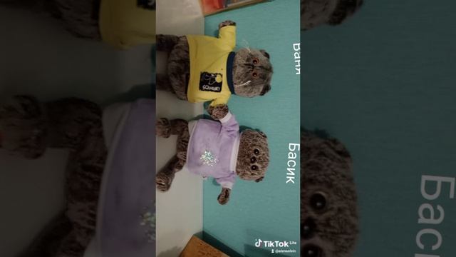 1000000534.mp4