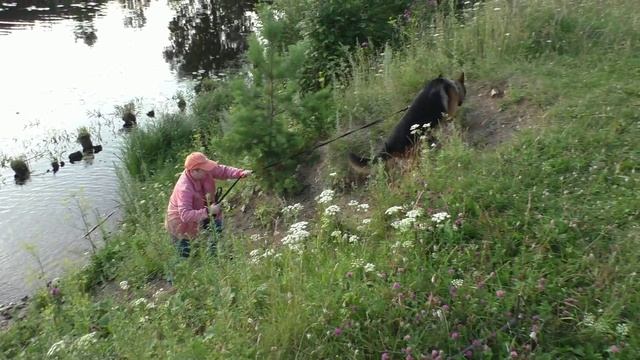 Оброшинская пристань.