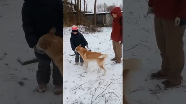 1000005926.mp4