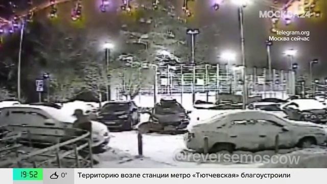 Мужчина украл оленя из новогодней композиции в ТиНАО