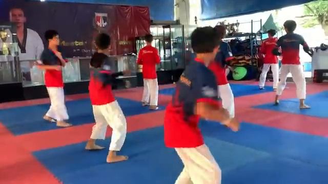 TaekwondoBasic MovementBasic Kick