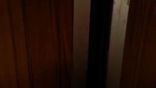 Электрический лифт V=0,71 м/с, г-п 320 кг (479)