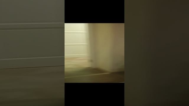VID_20250109_165120.mp4