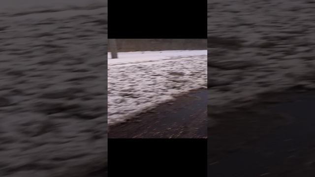 1000042674.mp4