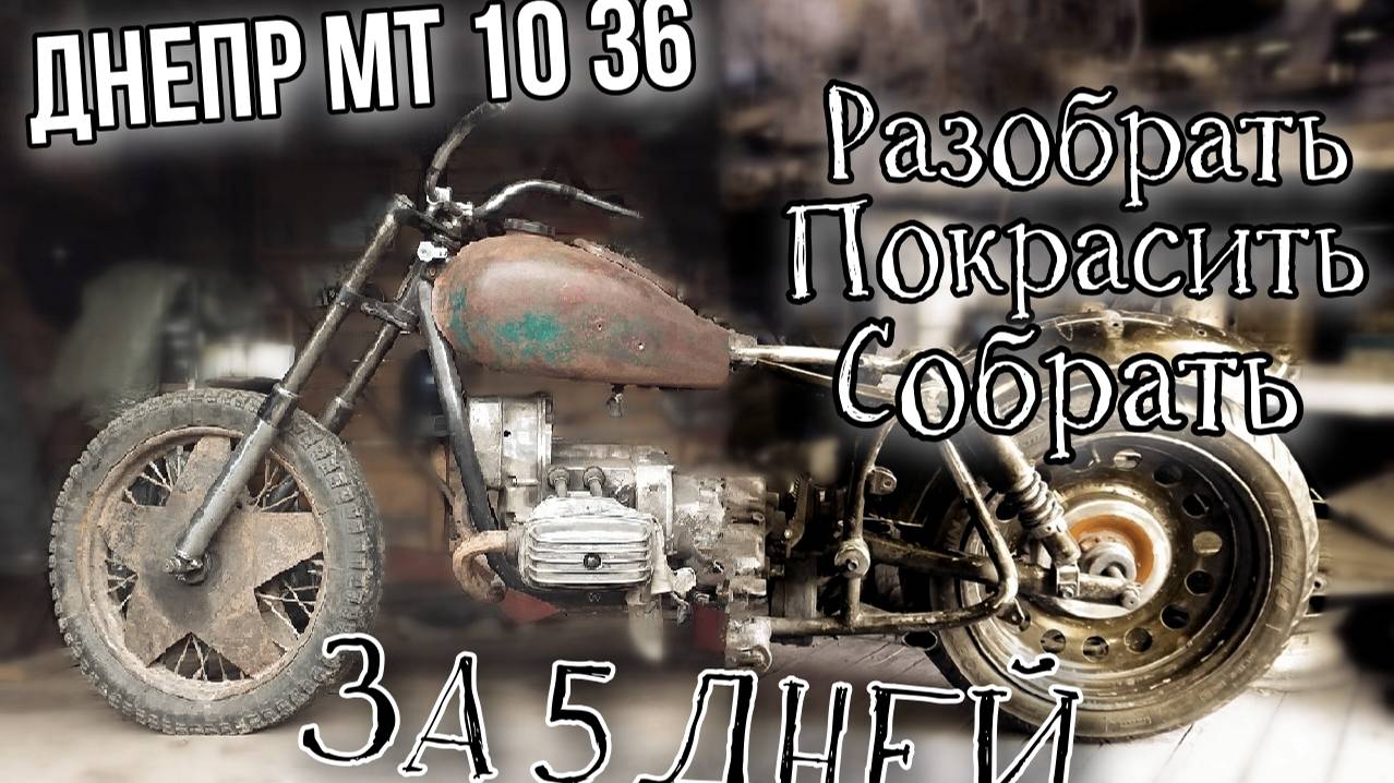 Днепр МТ 10 36 / Разобрать, покрасить и собрать за 5 дней