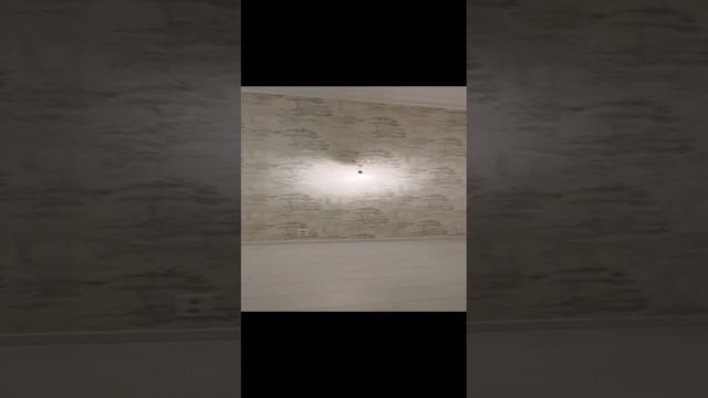 1000199462.mp4