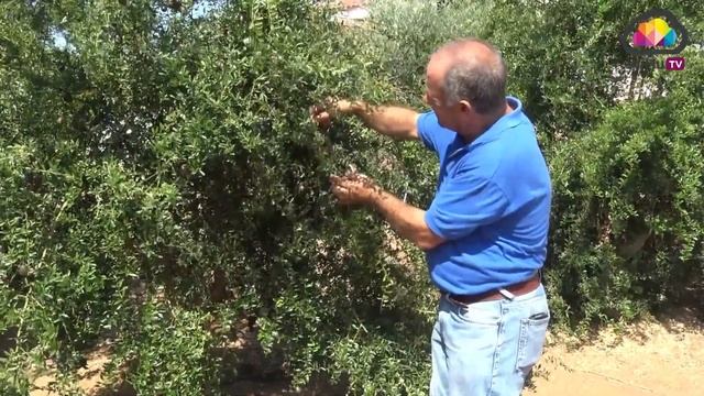 `de Cerca´ Sabores de Isla Cristina