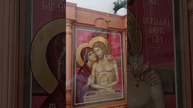 1000173030.mp4